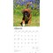 Boxer Puppies | 2026 12 x 24 Inch (Hanging) Monthly Square Wall Calendar | Plastic-Free